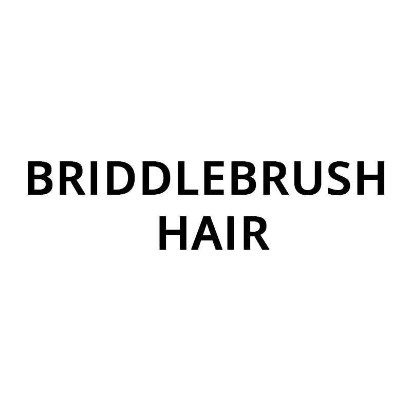 BriddleBrush Hair